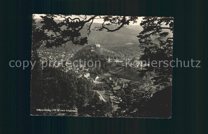 Schwarzburg Thueringer Wald Blick vom Trippstein