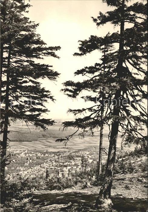 Ilsenburg Harz Stadtansicht