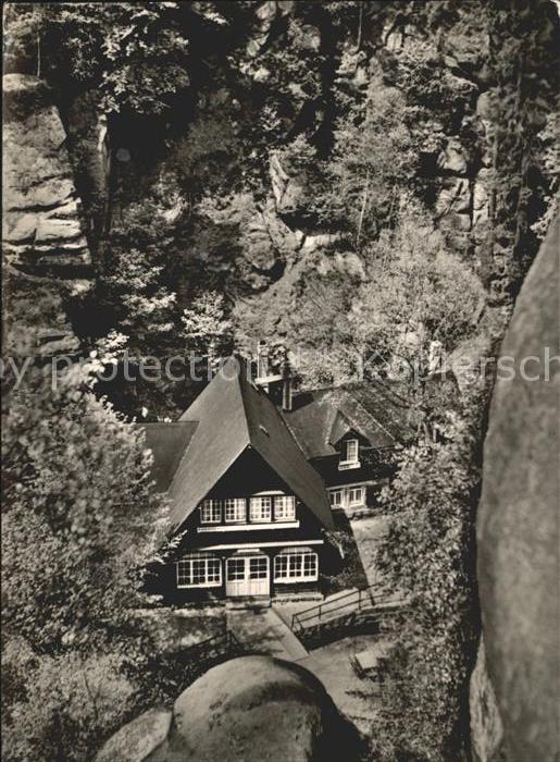 Uttewalder Grund Waldidylle