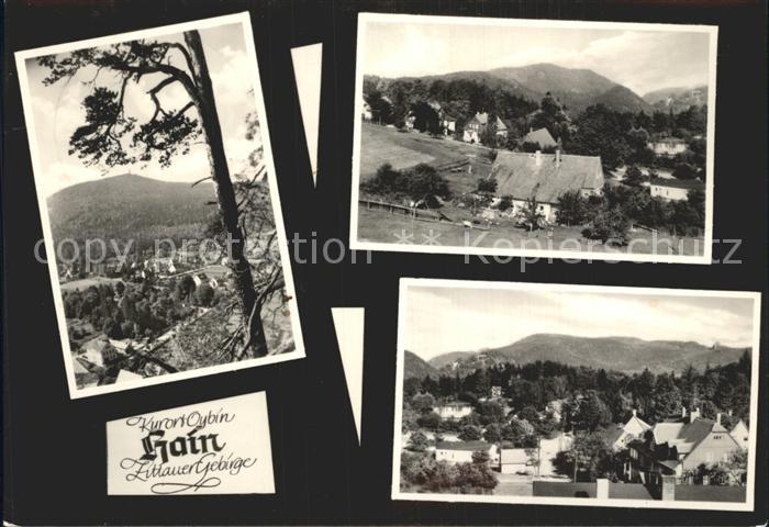 Hain Oybin Hochwald Ameisenberg Berg Oybin Toepfer