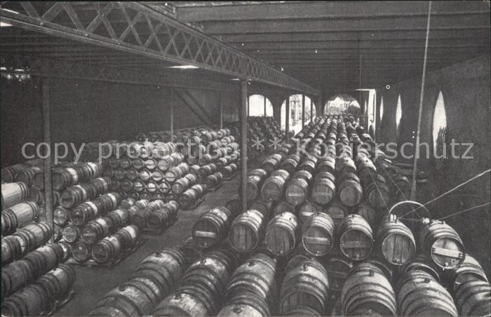 San Sadurni de Noya Casa Codorniu Una bodega