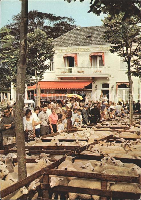 Den Burg Lammerenmarkt