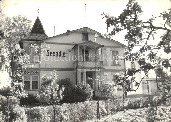 Sellin Ruegen Seeadler