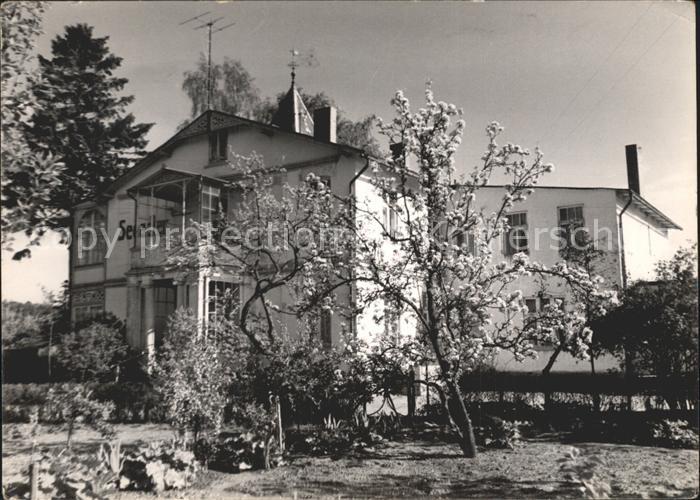 Sellin Ruegen Seeadler