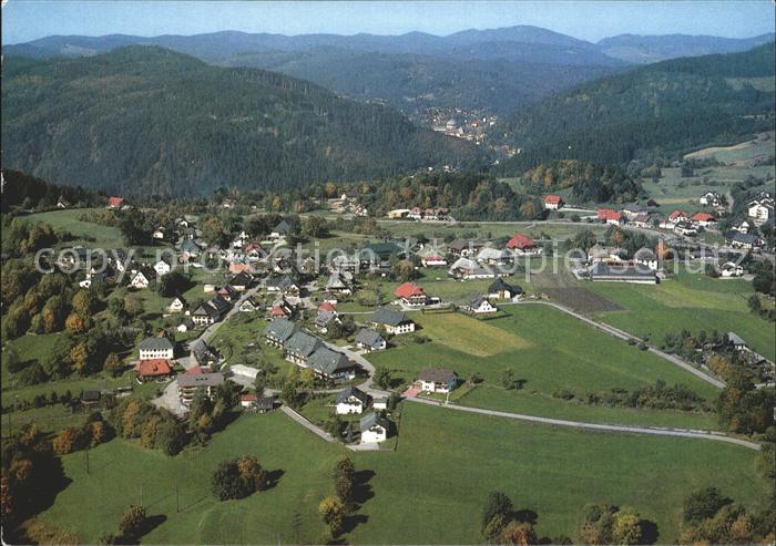 Haeusern Schwarzwald Fliegeraufnahme