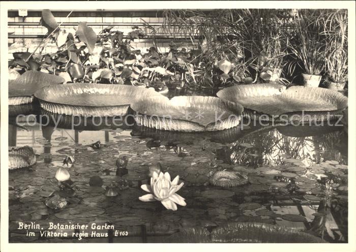 BERLIN  CITY Botanischer Garten Viktoria regia Haus