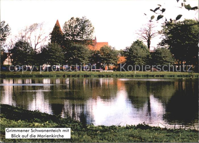 Grimmen Schwanenteich Marienkirche