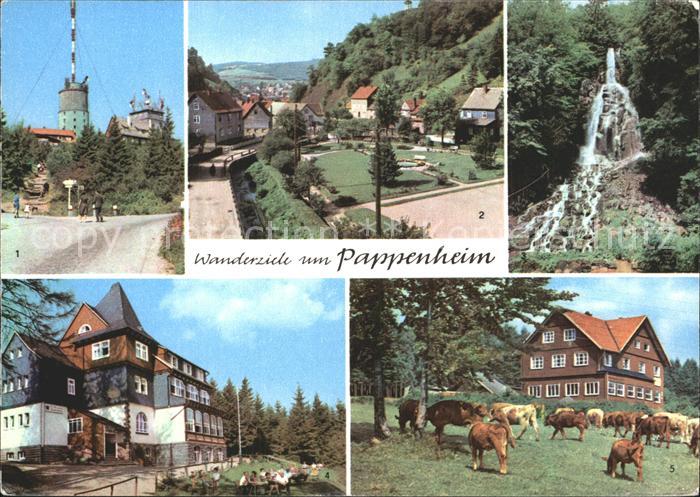 Pappenheim Thueringen Grosser Inselsberg Spiessberghaus Berghotel Ebertswiese