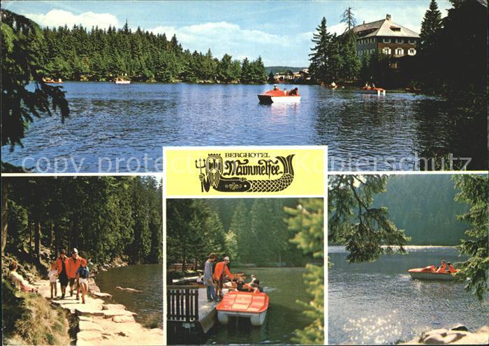 Mummelsee Berghotel Mummelsee