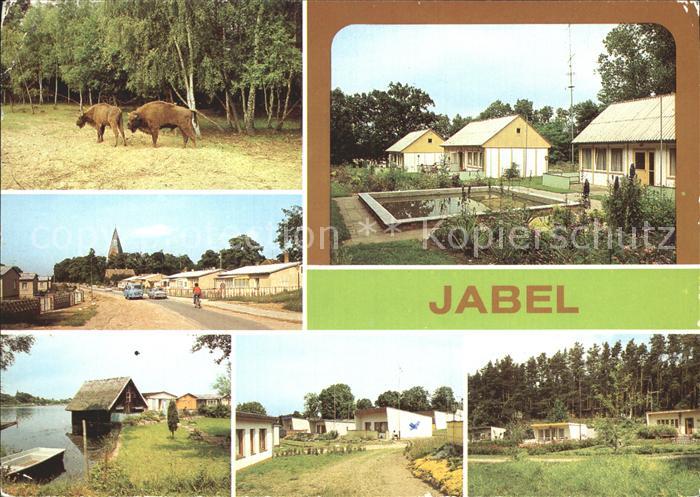 Jabel Waren Bungalows Wisente