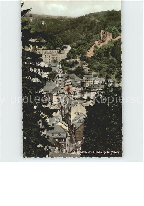 Monschau Montjoie NRW Stadtblick mit Ruine Haller