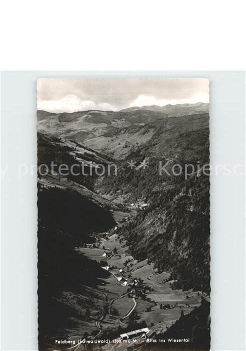 Feldberg Schwarzwald Blick ins Wiesental