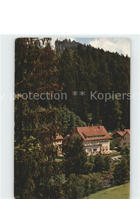 Schoenmuenzach Hotel Pension Klumpp