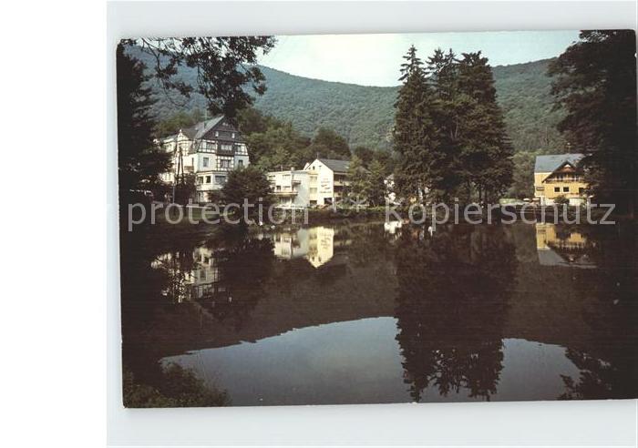 Bad Bertrich Schwanenteich