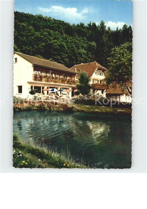 Loecherberg Haus Schwarzwald Idyll