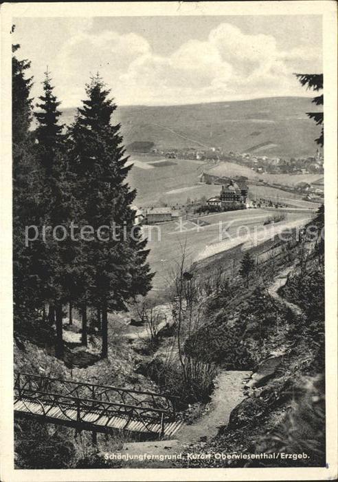 Oberwiesenthal Erzgebirge Schoenjungferngrund