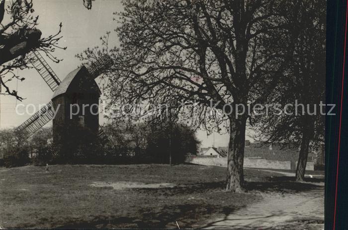 Werder Havel Alte Muehle