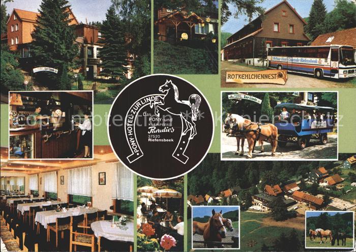 Osterode Harz Pony-Hotel Zur Linde