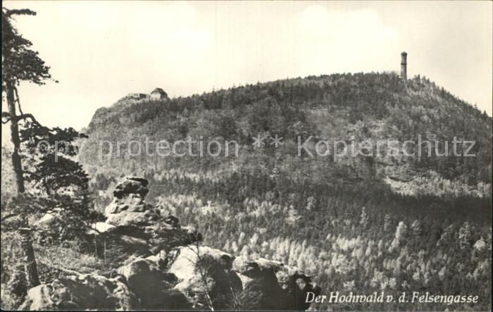 Oybin Sachsen Hochwaldbaude