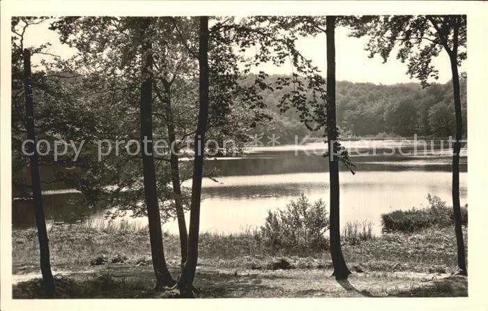 Granitz Ruegen Schwarzer See