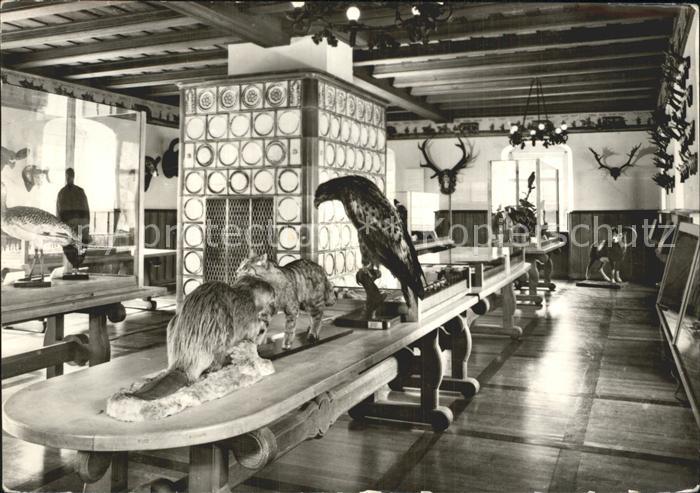 DRESDEN Elbe Technische Universitaet Sektion Forstwirtschaft Tharandt Jagdsaal