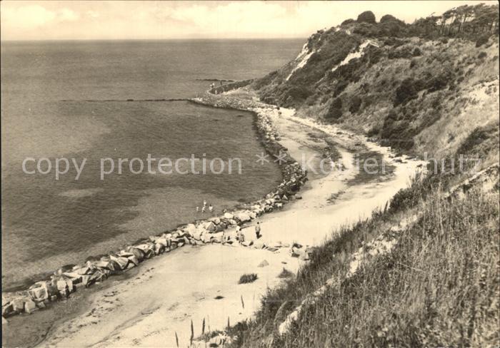 Insel Hiddensee Steilkueste am Dornbusch