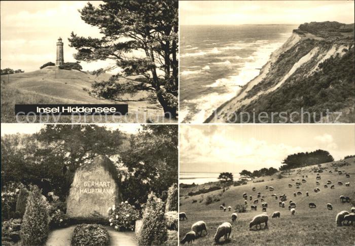Insel Hiddensee Gerhart Hauptmann Grabstein Leuchtturm Schafe