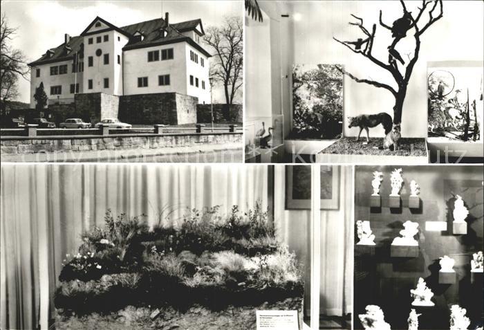 Bad Frankenhausen Kreisheimatmuseum Gipskristalle Wiesensteppe-Raum III