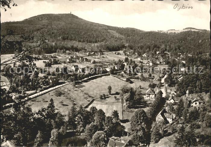 Oybin Sachsen Hochwald