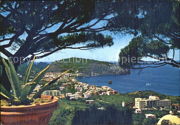 Casamicciola Terme Panorama