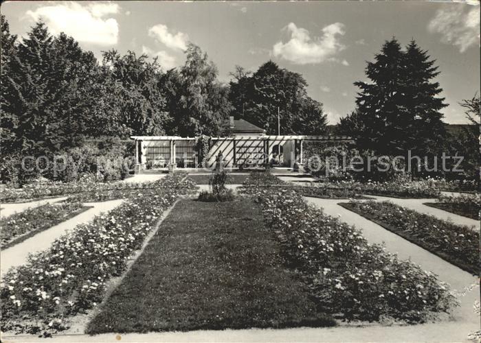 DRESDEN Elbe Rosengarten