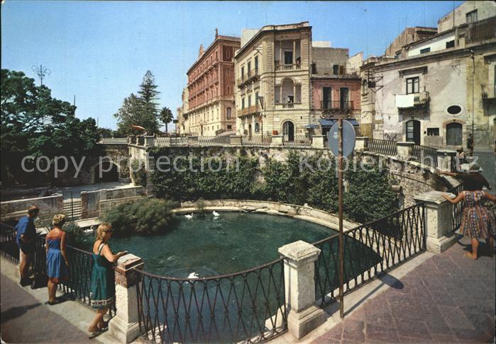 Siracusa Arethusa Brunnen Papyrus Baeumen