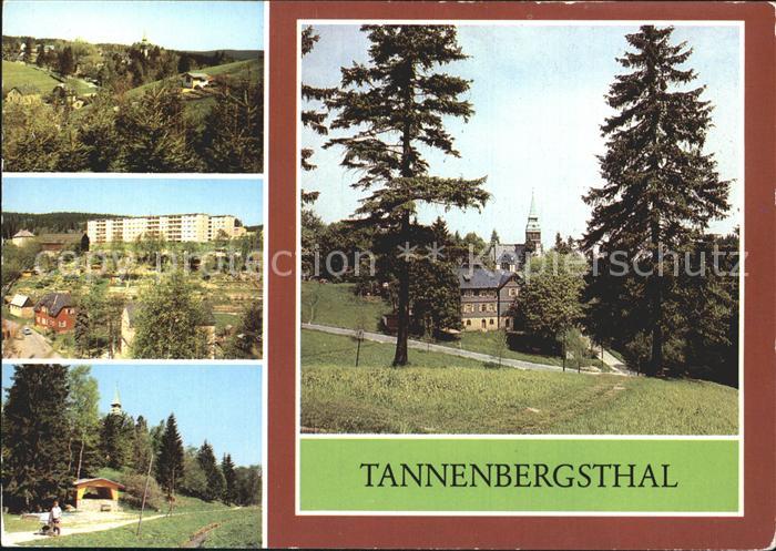 Tannenbergsthal Vogtland Gebaeude