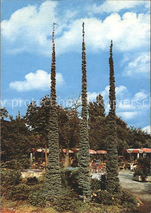 BREMEN CITY Cafe Subtropia