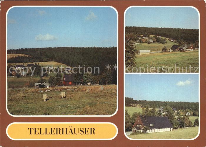 Tellerhaeuser Gebaeude Tier