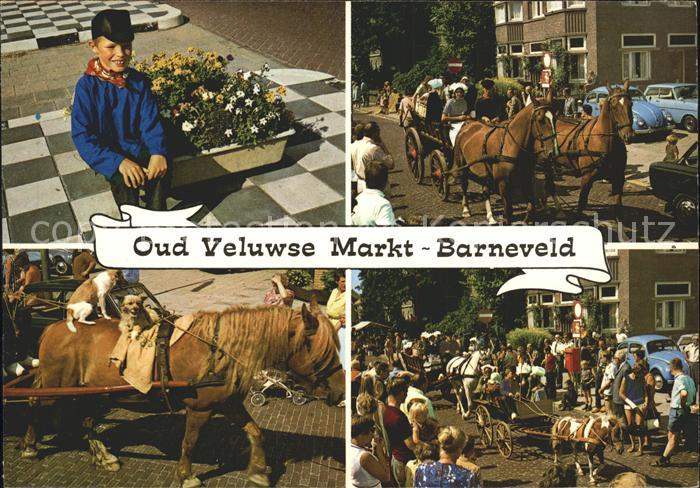 Barneveld Gelderland Veluwse Markt Pferd Hund