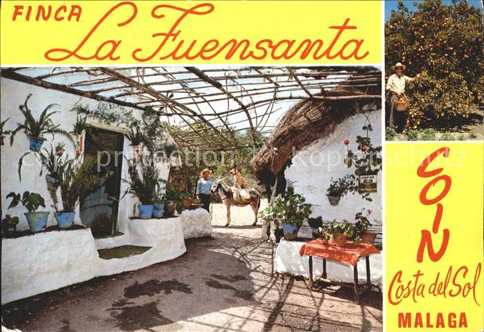 Coin Malaga Finca La Fuensanta