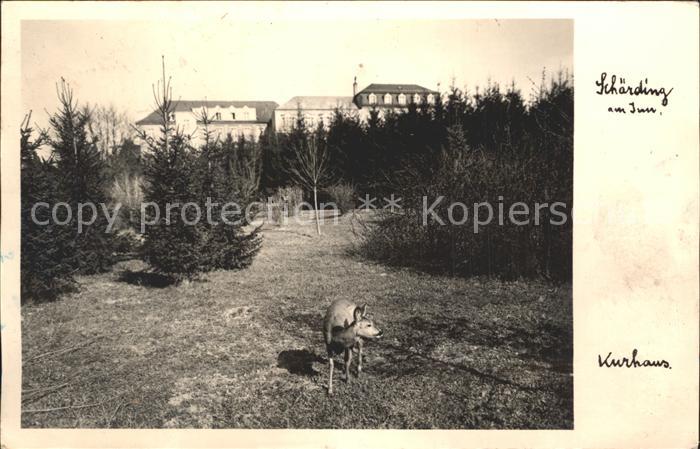 Schaerding Kurhaus Reh