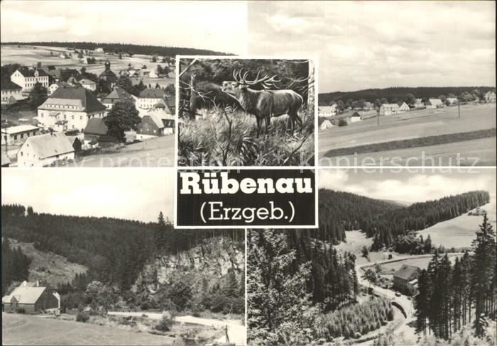 Ruebenau Panorama Hirsch Teilansicht