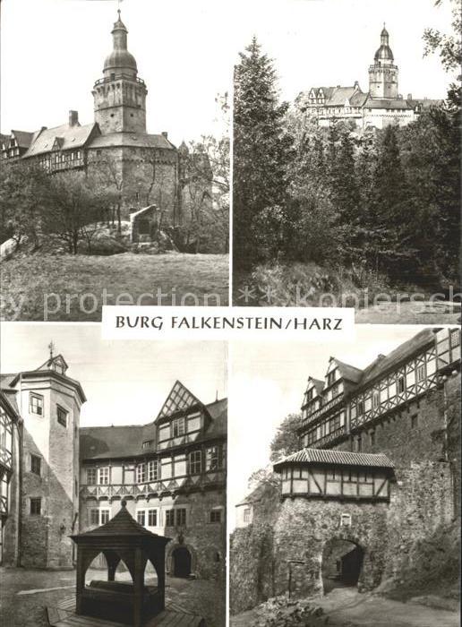 Falkenstein Harz Burg Falkenstein Teilansichten