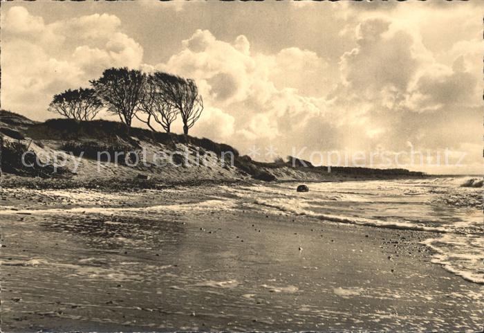 Darss Region Ostsee Weststrand