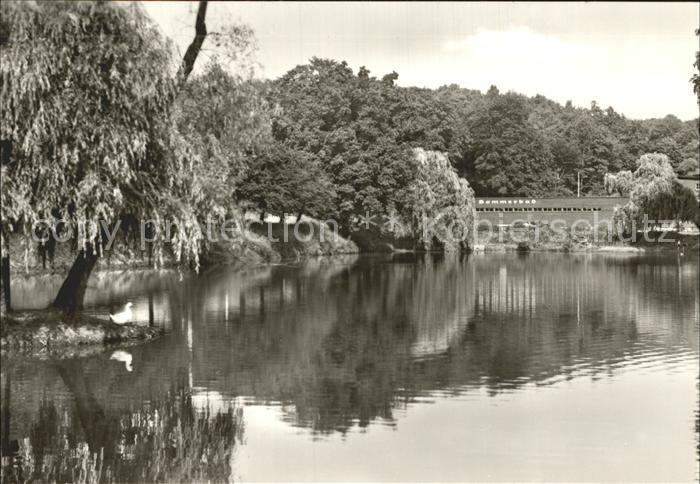 Meerane Sommerbad mit Teichanlagen