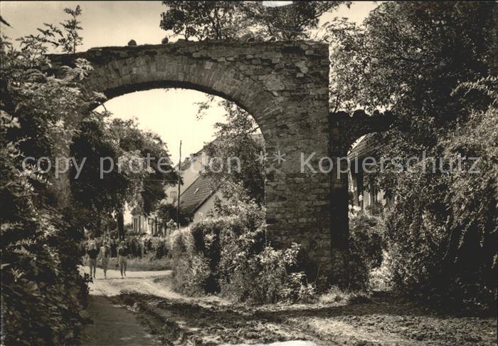 Kloster Hiddensee Klosterruine