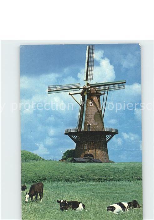 Windmuehle Ronde Korenmolen Gorinchem Kuehe