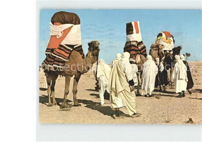 Hochzeit Kamele Tunisie Mariage traditionnel dans le desert