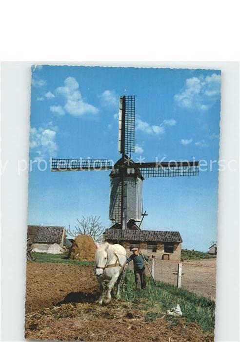 Windmuehle Pferd Landwirtschaft Bauer