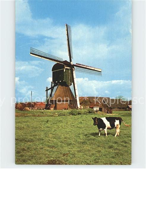 Windmuehle Bleskensgraaf Poldermolen
