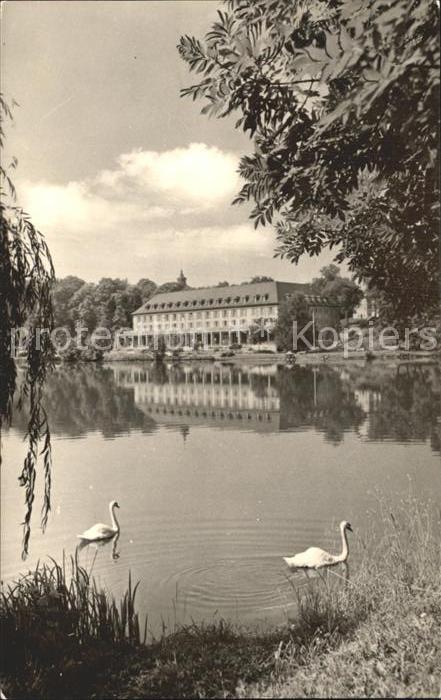 Bad Salzungen Kurhaus am Burgsee Schwaene