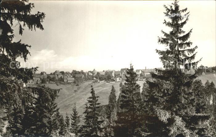 Steinheid Durchblick vom Waldrand Thueringer Wald