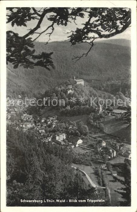 Schwarzburg Thueringer Wald Panorama Blick vom Trippstein
